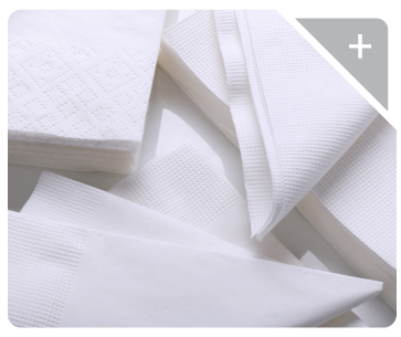 Guardanapos Decorados