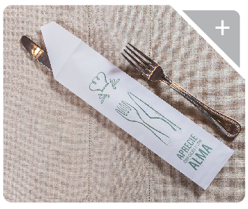 Guardanapos Decorados